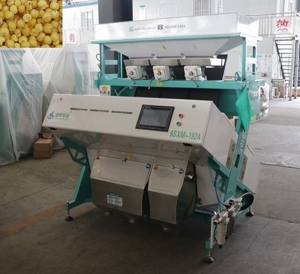 Mesin Sortasi Kacang Mete RGB Tanpa Bayangan Cerdas Untuk Millet